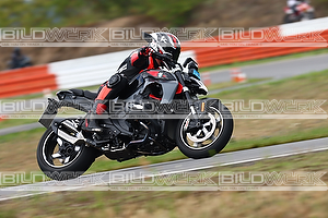 Bild 100