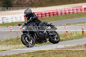 Bild 777
