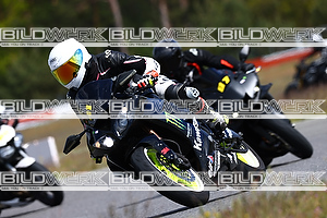 Bild 11851
