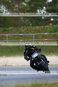 Bild 8903